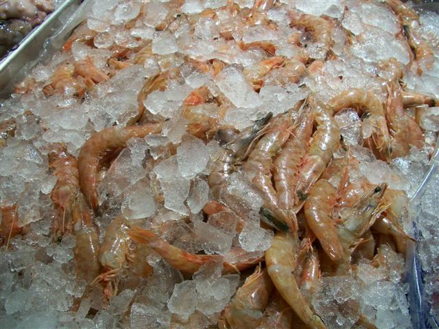 PEIXARIA EM MARICÁ - RJ