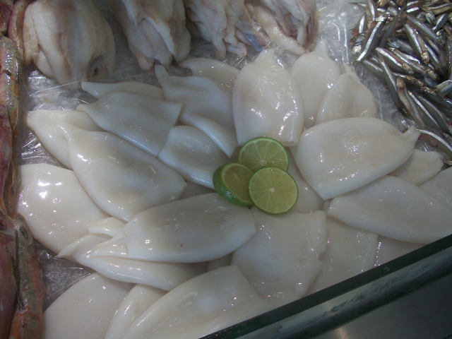 PEIXARIA EM MARICÁ - RJ