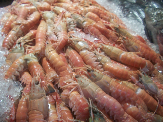 PEIXARIA EM MARICÁ - RJ