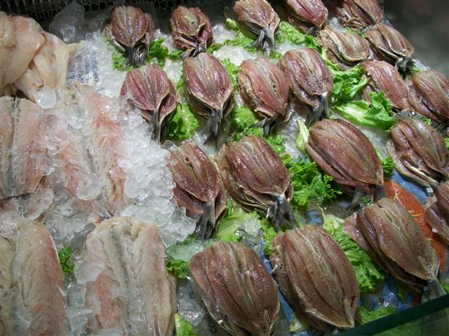 PEIXARIA EM MARICÁ - RJ