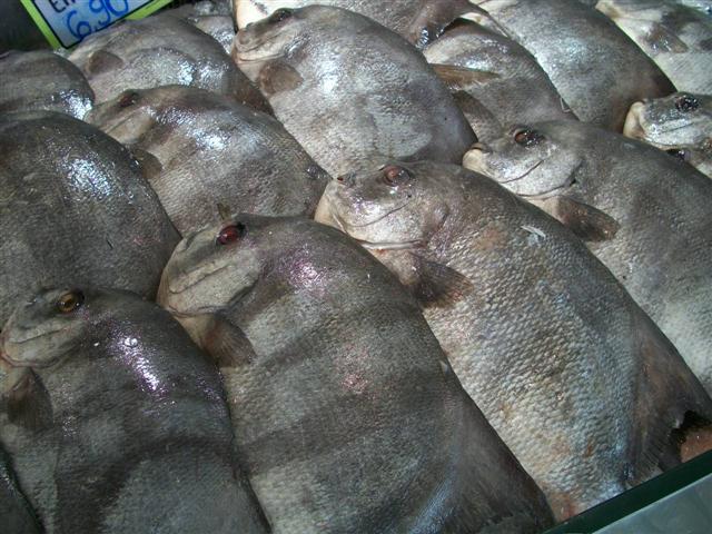 PEIXARIA EM MARICÁ - RJ