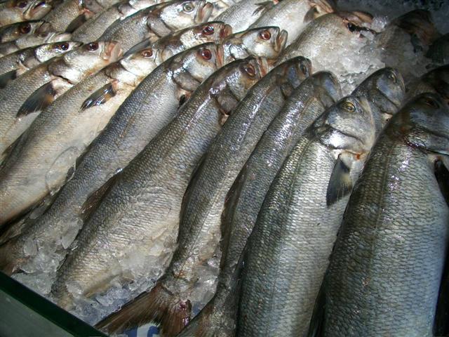 PEIXARIA EM MARICÁ - RJ