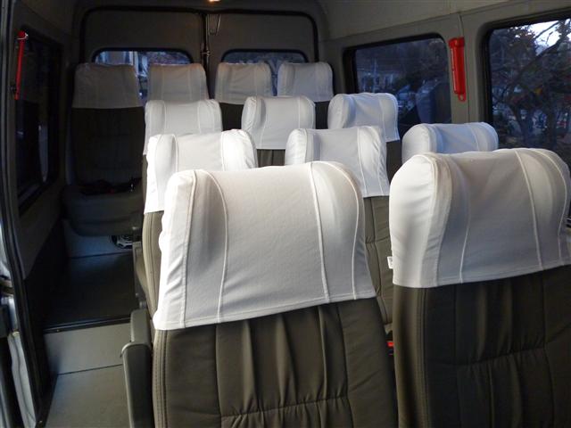 VANS E TURISMO EM PETROPOLIS - CARPE DIEM - RJ