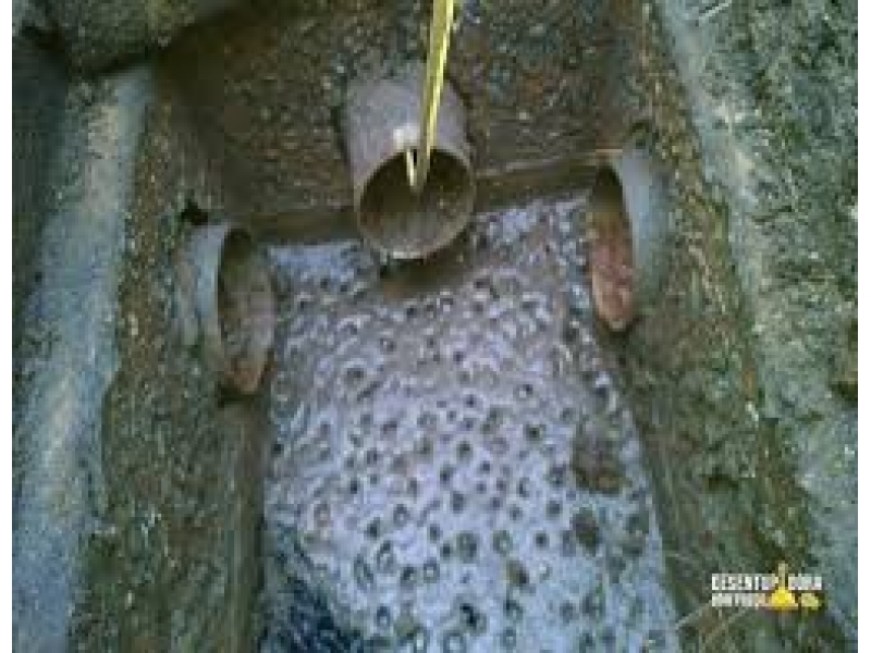 LIMPEZA DE FOSSA NO MORUMBI EM SÃO PAULO