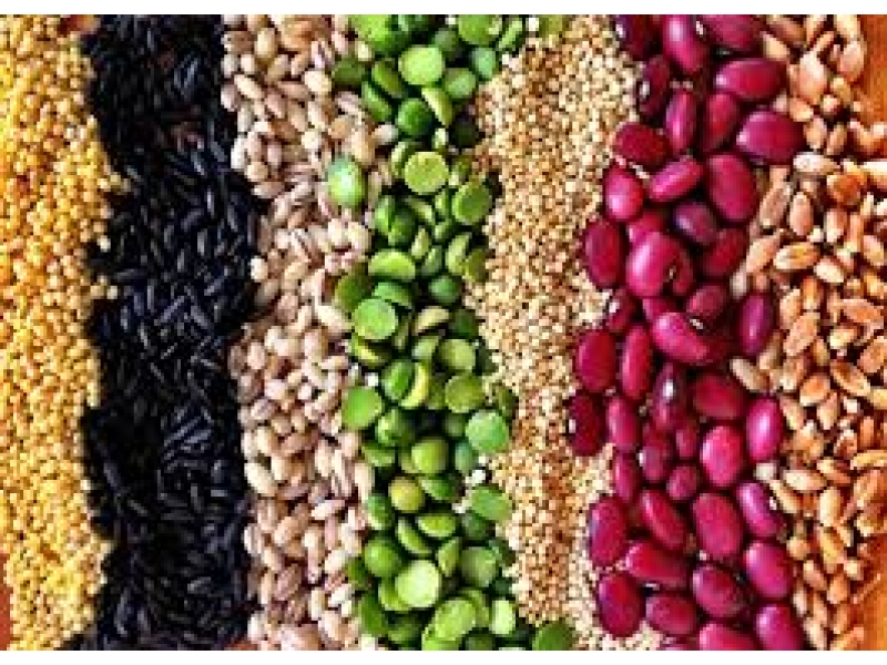 PRODUTOS NATURAIS DE GRÃOS NO MORUMBI EM SÃO PAULO