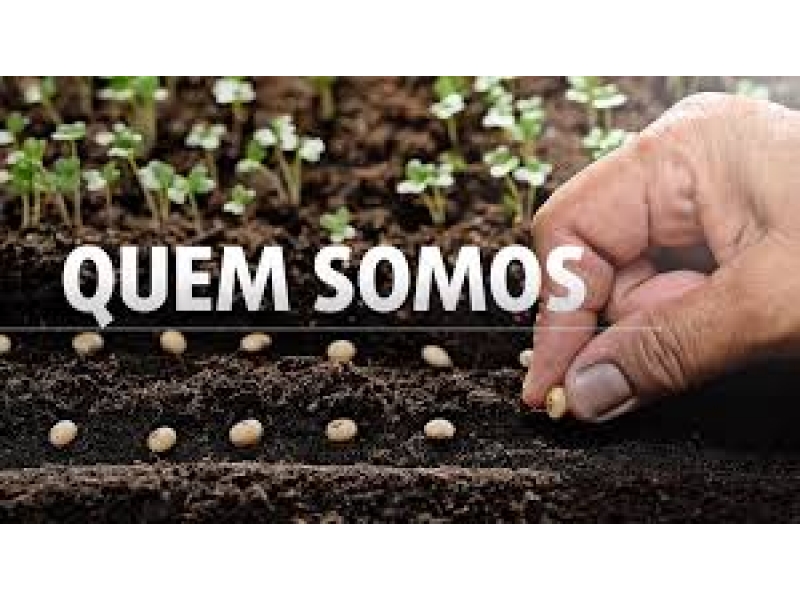 PRODUTOS NATURAIS DE GRÃOS NO MORUMBI EM SÃO PAULO