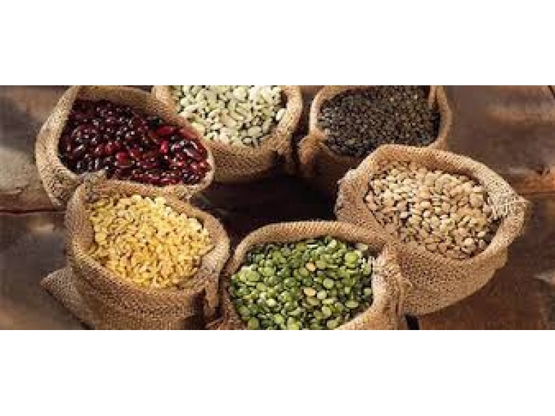 PRODUTOS NATURAIS DE GRÃOS NO MORUMBI EM SÃO PAULO