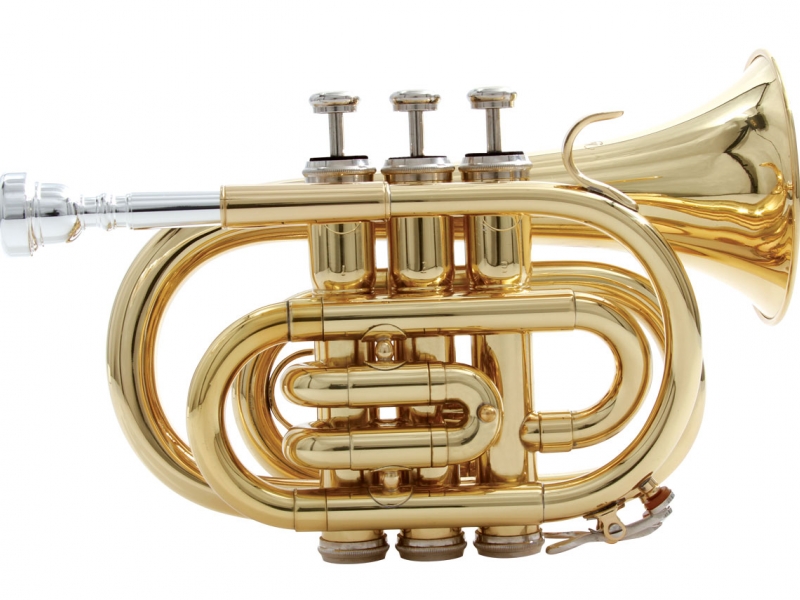 INSTRUMENTOS MUSICAIS EM DUQUE DE CAXIAS - mm musical