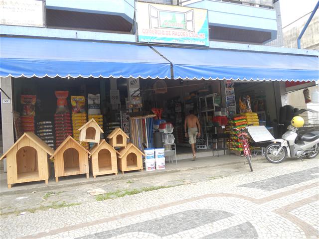 RACOES EM GUAPIMIRIM PE DA SERRA EM GUAPIMIRIM