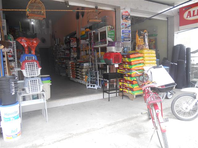 RACOES EM GUAPIMIRIM PE DA SERRA EM GUAPIMIRIM