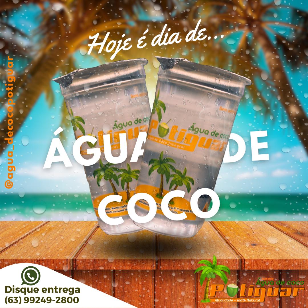 Disk água de coco em araguaína - Água de coco POTIGUAR 