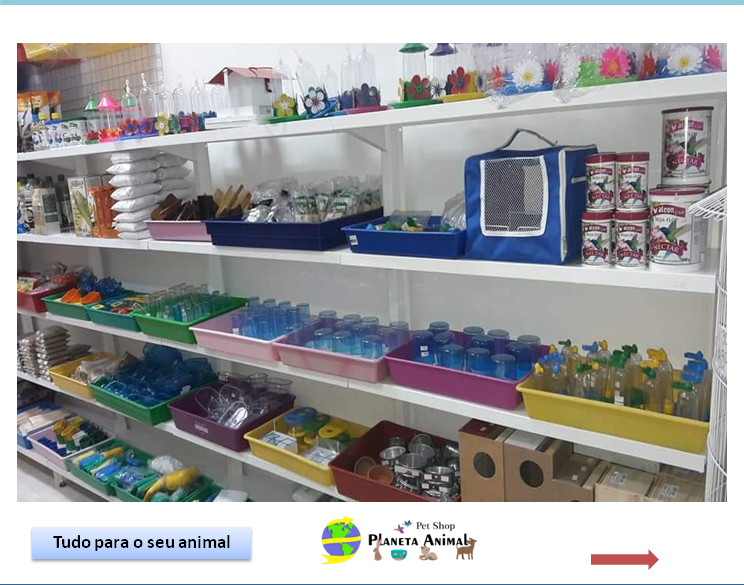 pet-shop-em-santos-planeta-animal-santos