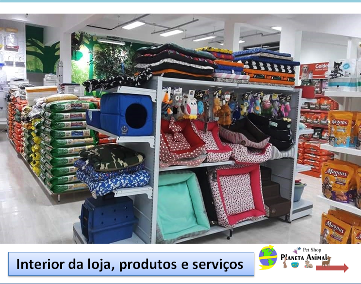 Pet Shop em Santos Animal Santos