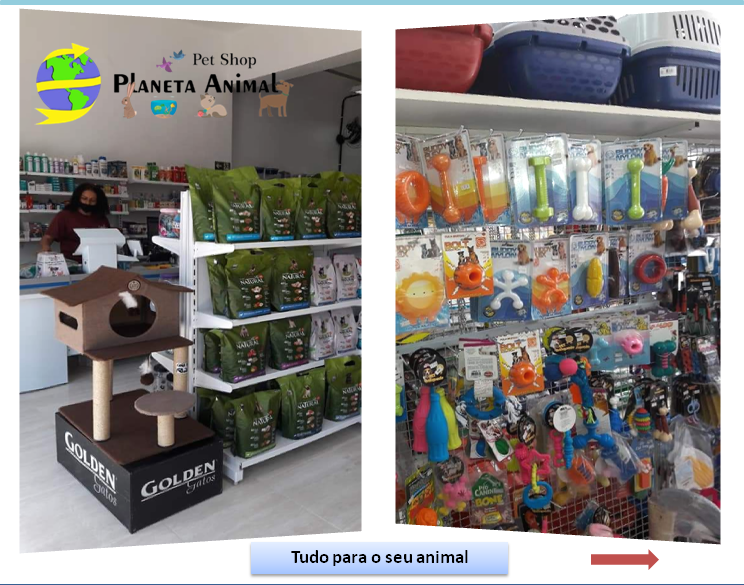 Pet Shop Em Santos Planeta Animal Santos pet-shop-em-santos-planeta-animal-santos