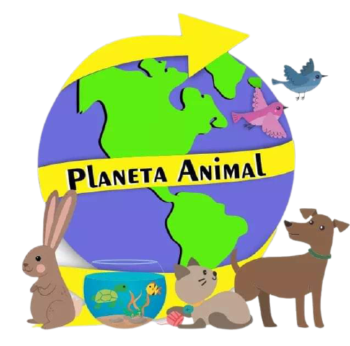 Pet Shop Planeta Animal 