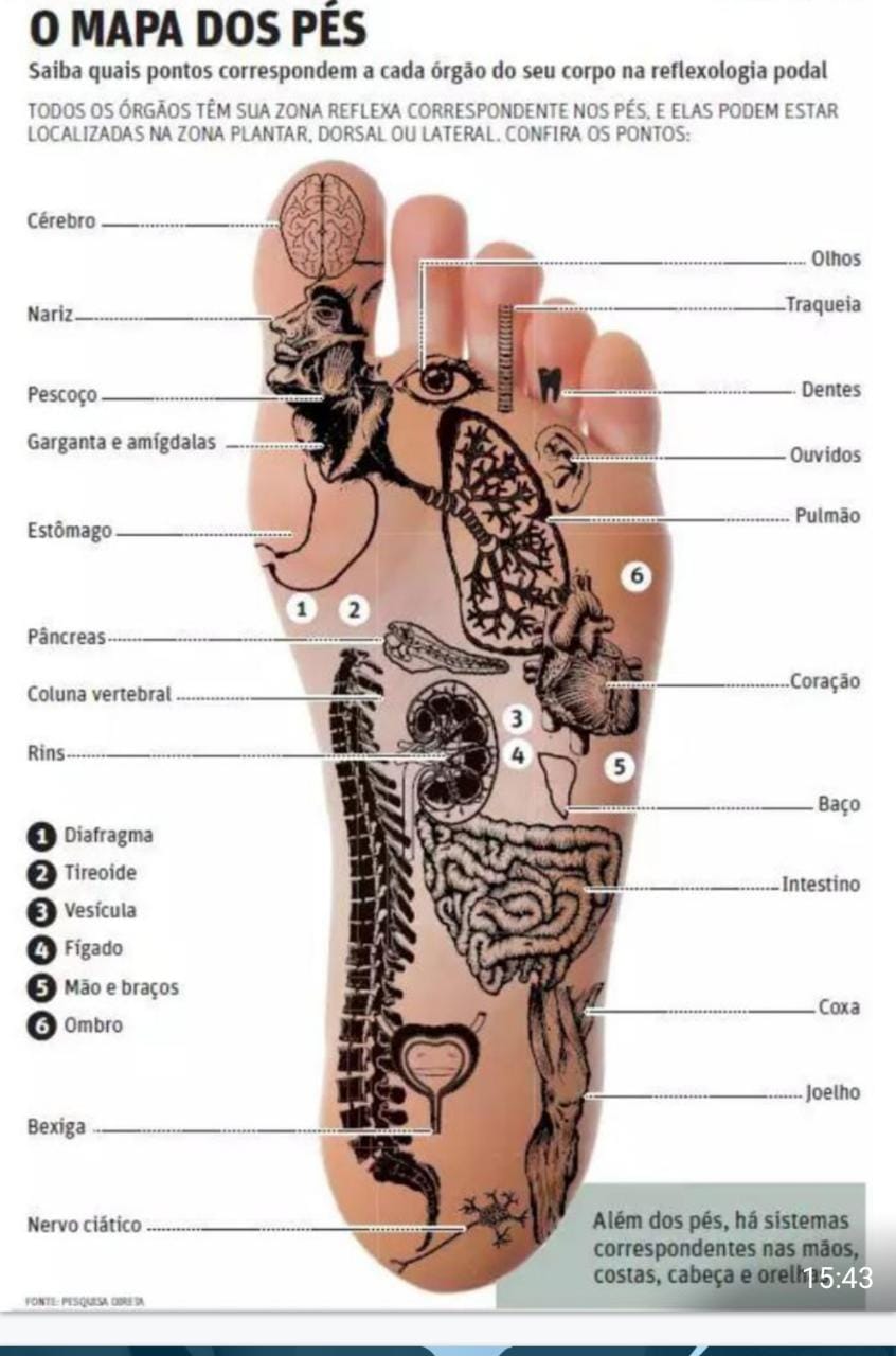 TÊNIS MAGNÉTICO EM VARGEM ALTA - ES