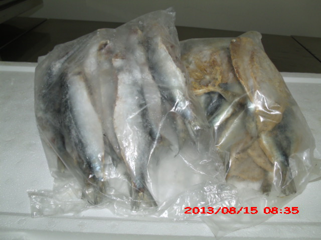 PEIXARIA EM SAO FIDELIS - CASA DO PEIXE