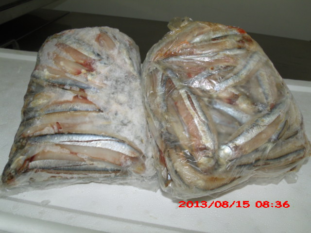 PEIXARIA EM SAO FIDELIS - CASA DO PEIXE