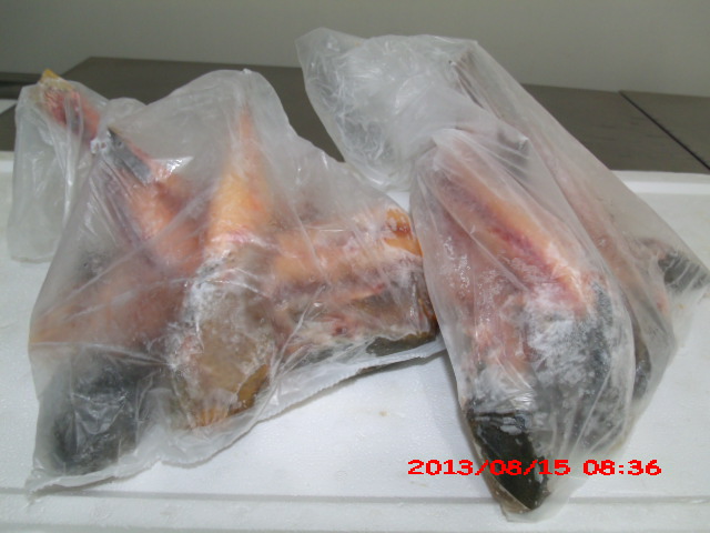 PEIXARIA EM SAO FIDELIS - CASA DO PEIXE