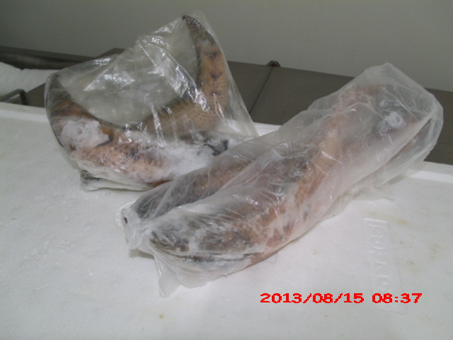 PEIXARIA EM SAO FIDELIS - CASA DO PEIXE