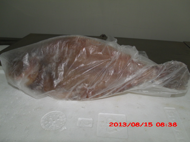 PEIXARIA EM SAO FIDELIS - CASA DO PEIXE