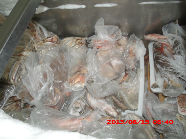 PEIXARIA EM SAO FIDELIS - CASA DO PEIXE