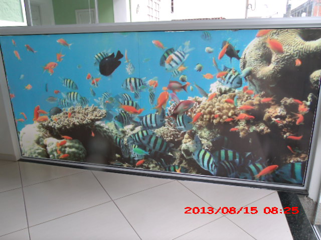 PEIXARIA EM SAO FIDELIS - CASA DO PEIXE