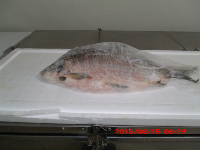 PEIXARIA EM SAO FIDELIS - CASA DO PEIXE