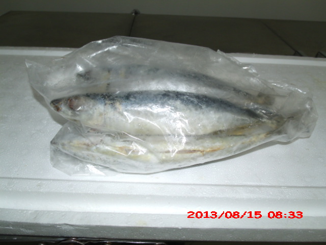 PEIXARIA EM SAO FIDELIS - CASA DO PEIXE