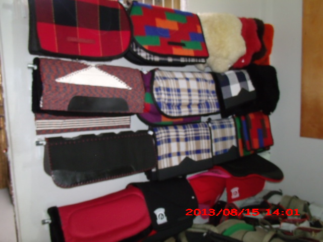 CASA DO COURO EM SAO FIDELIS - CASA DO COURO SAO JORGE