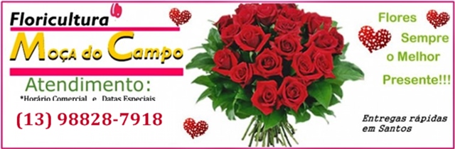 Floricultura Boqueirão