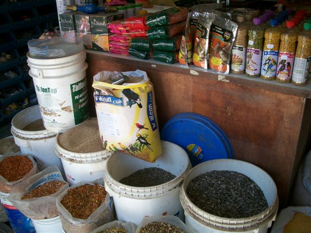 CASA DE RAÇÕES EM SÃO JOSE DO VALE DO RIO PRETO - NO RAMO - RJ