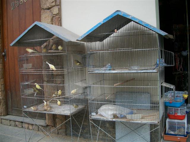 CASA DE RAÇÕES EM SÃO JOSE DO VALE DO RIO PRETO - NO RAMO - RJ