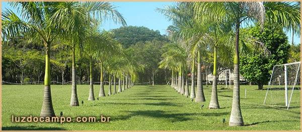 ALUGUEL DE ESPACO PARA FESTAS E EVENTOS EM NOVA ODESSA SP - VILLA HARMONIA EVENTOS