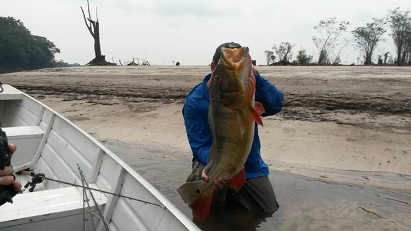 PACOTES TURÍSTICOS PARA PESCA ESPORTIVA EM MANAUS - AM