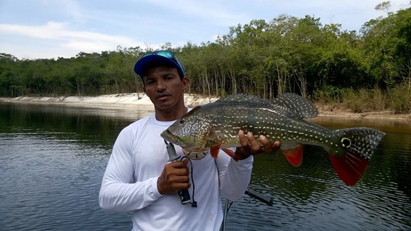 PACOTES TURÍSTICOS PARA PESCA ESPORTIVA EM MANAUS - AM