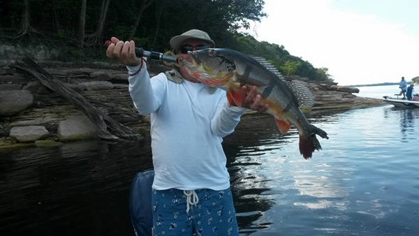 PACOTES TURÍSTICOS PARA PESCA ESPORTIVA EM MANAUS - AM