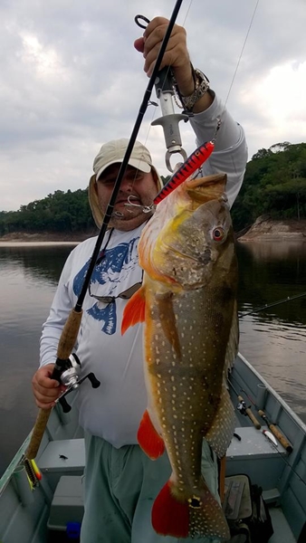 PACOTES TURÍSTICOS PARA PESCA ESPORTIVA EM MANAUS - AM