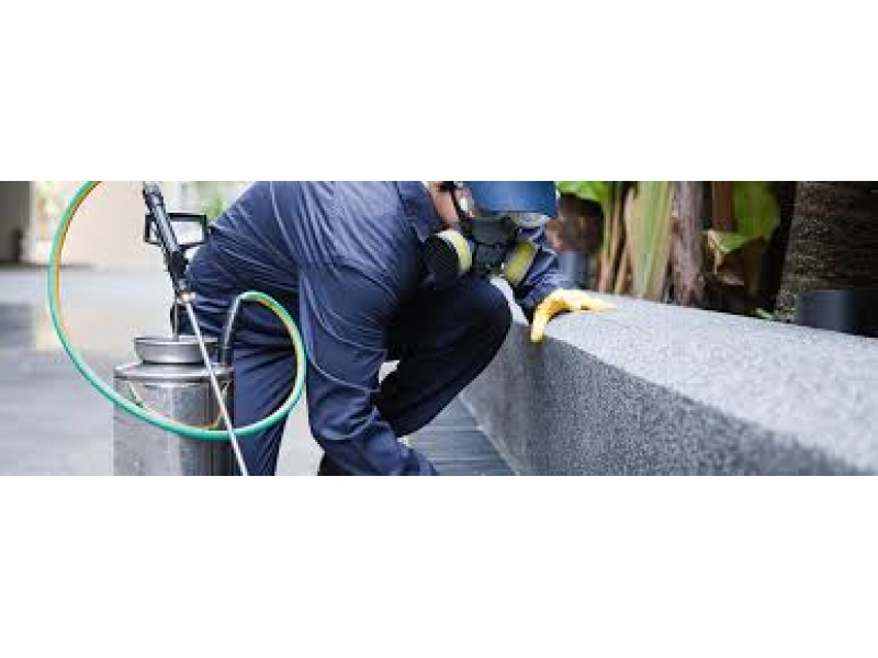 DESENTUPIDORA E DEDETIZADORA NA VILA SÔNIA EM SÃO PAULO