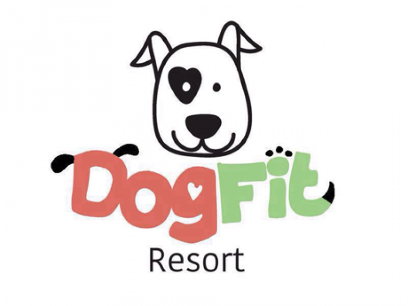 LOJA DE RAÇÃO DOG FIT