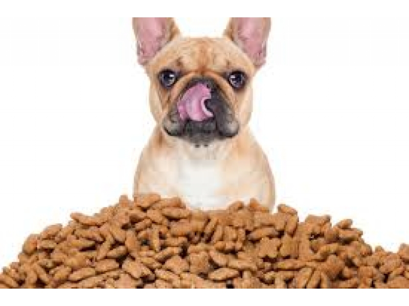 LOJA DE RAÇÃO NO MORUMBI EM SÃO PAULO