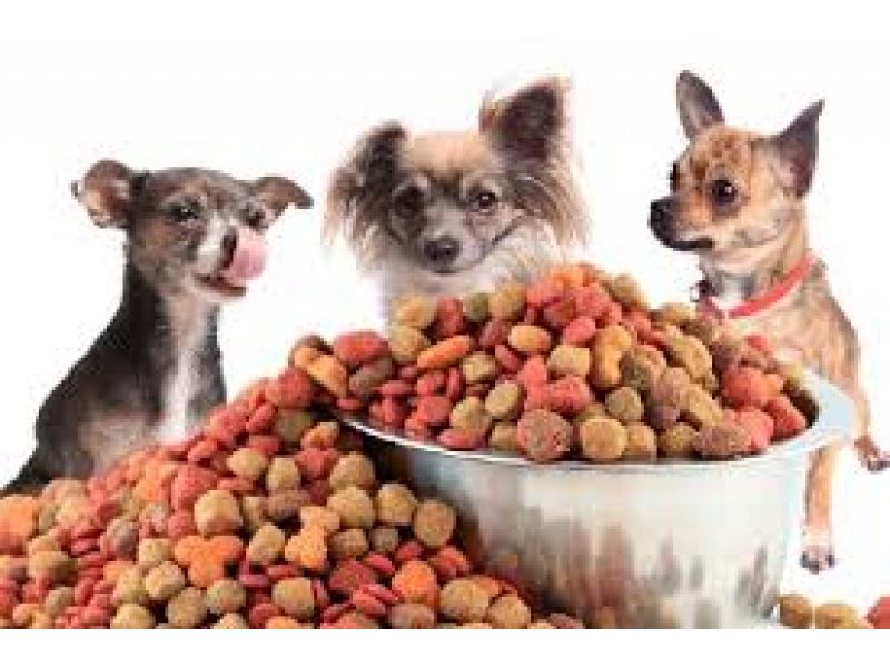 LOJA DE RAÇÃO NO MORUMBI EM SÃO PAULO