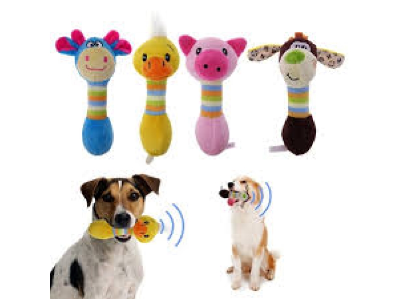 LOJA DE RAÇÃO NO MORUMBI EM SÃO PAULO