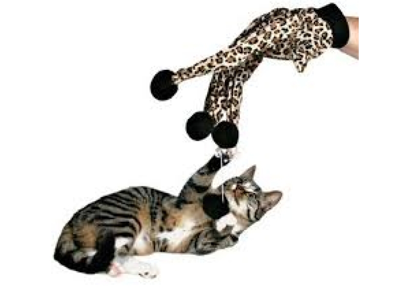 LOJA DE RAÇÃO NO MORUMBI EM SÃO PAULO