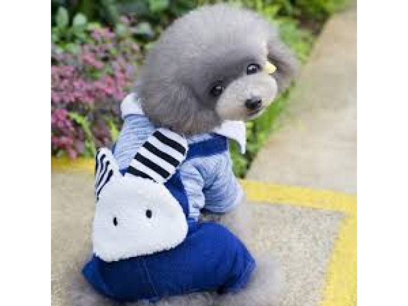 LOJA DE RAÇÃO NO MORUMBI EM SÃO PAULO