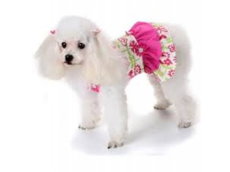 LOJA DE RAÇÃO NO MORUMBI EM SÃO PAULO