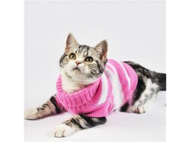 LOJA DE RAÇÃO NO MORUMBI EM SÃO PAULO