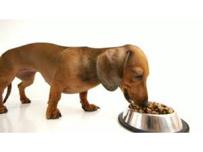 LOJA DE RAÇÃO NO MORUMBI EM SÃO PAULO