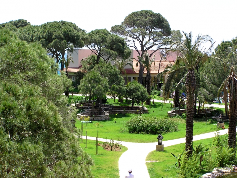 PROJETO PAISAGISMO GRÁTIS EM CURITIBA - PR