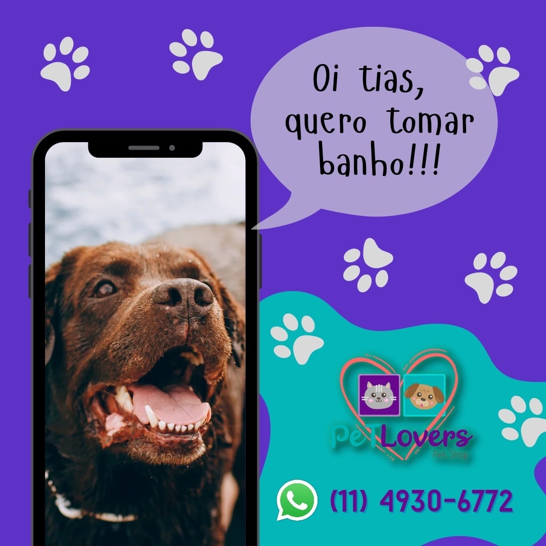 BANHO E TOSA EM SÃO BERNARDO DO CAMPO - SP